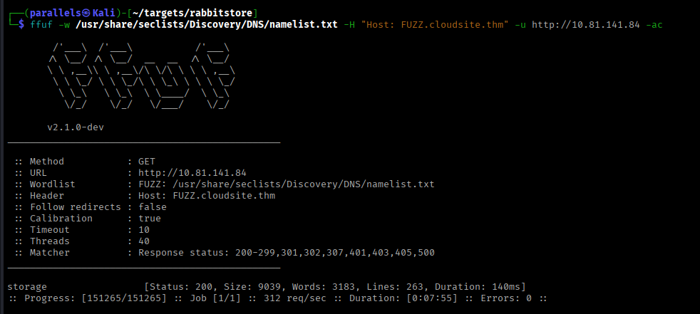 VHOST fuzzing results — only storage found